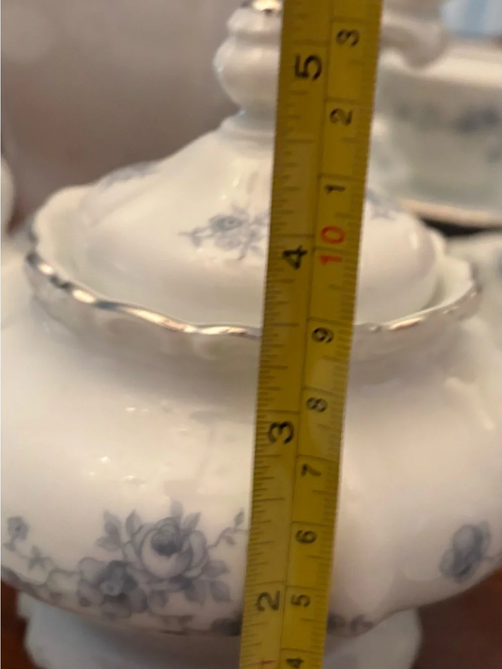 Johann Havilland 23 piece Set for Coffee or Tea service Porcelain Platinum China